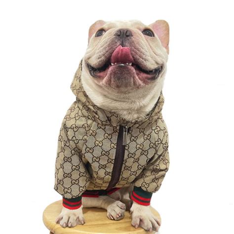 gucci animal prints|Designer Dog Clothes .